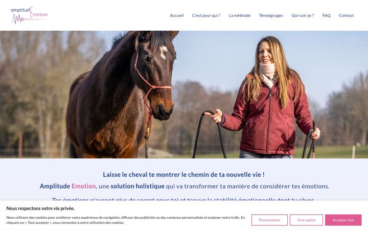 Screenshot of amplitudemotion.ch