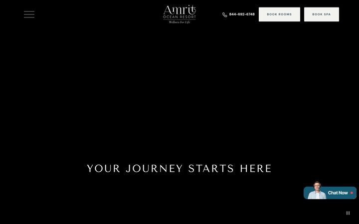 Screenshot of amritocean.com