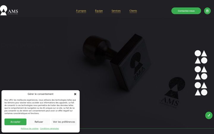 Screenshot of amsconsulting-int.com