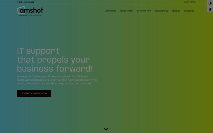 Screenshot of amshot.com