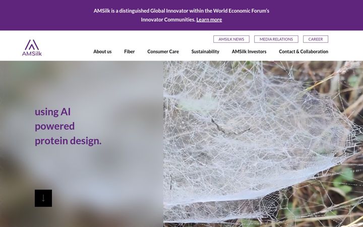 amsilk.com
