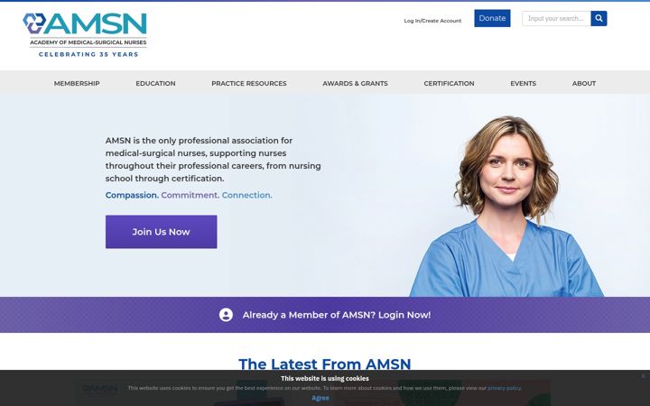 Screenshot of amsn.org