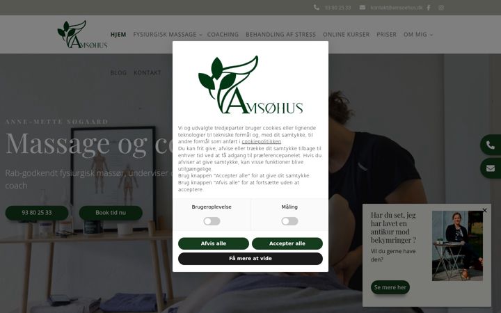 Screenshot of amsoehus.dk