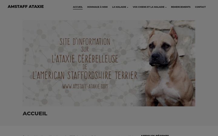 Screenshot of amstaff-ataxie.com