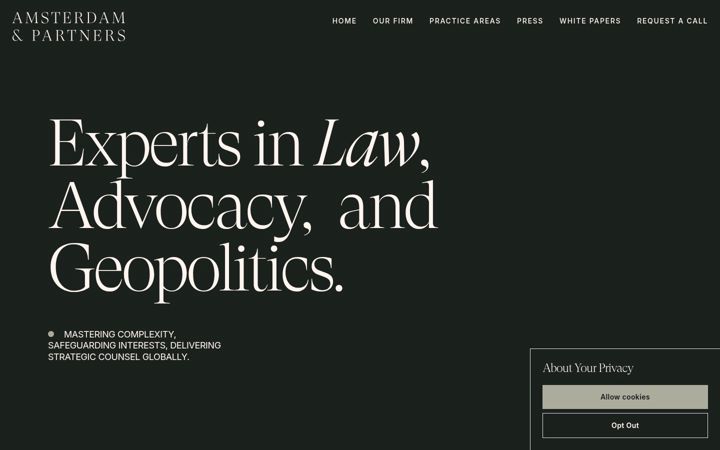 Screenshot of amsterdamandpartners.com