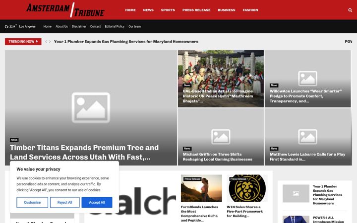 Screenshot of amsterdamtribune.com