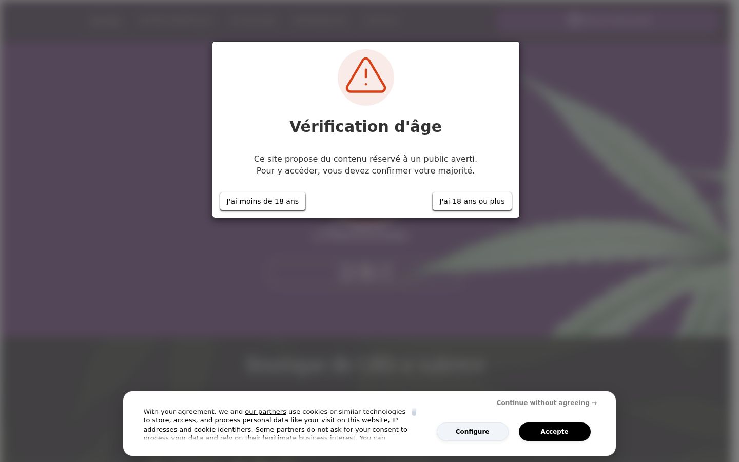 Skærmbillede af samtykkebanneret, som det blev vist før nogen interaktion