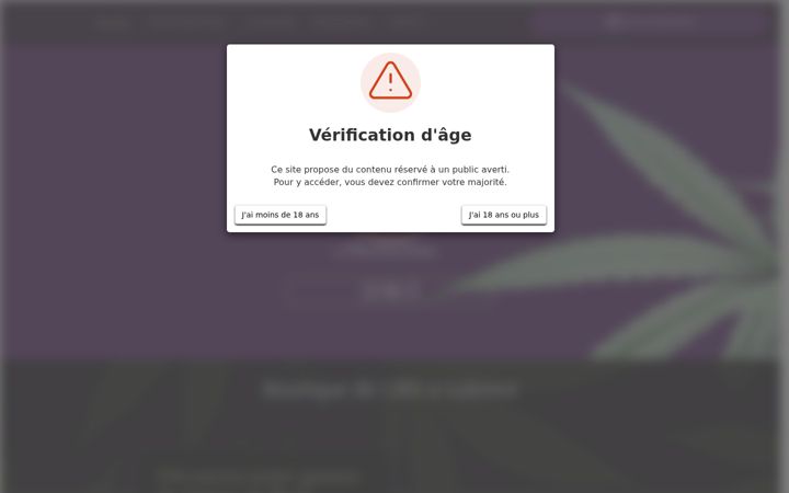Screenshot of amsterdrome.fr