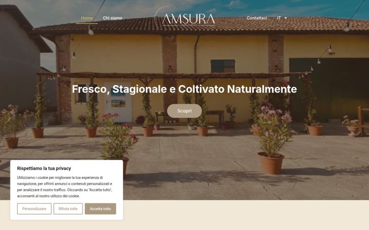 Screenshot of amsura.it