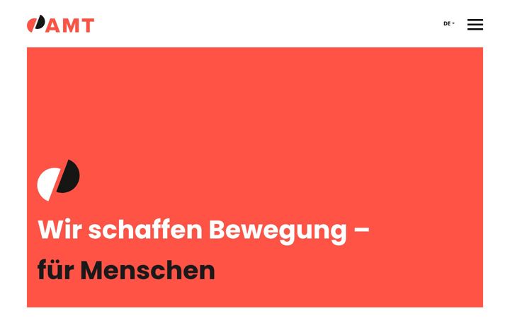 Screenshot of amt-schmid.com