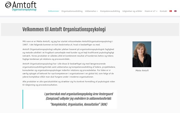 Screenshot of amtoft.org
