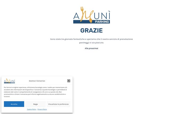 Screenshot of amuniparking.com