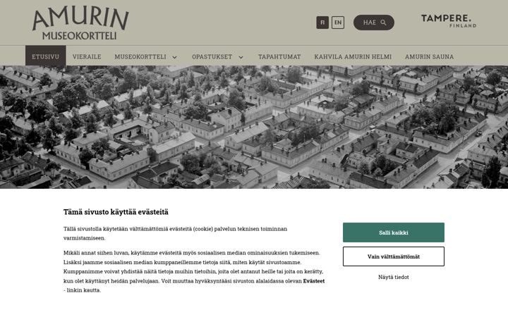 Screenshot of amurinmuseokortteli.fi