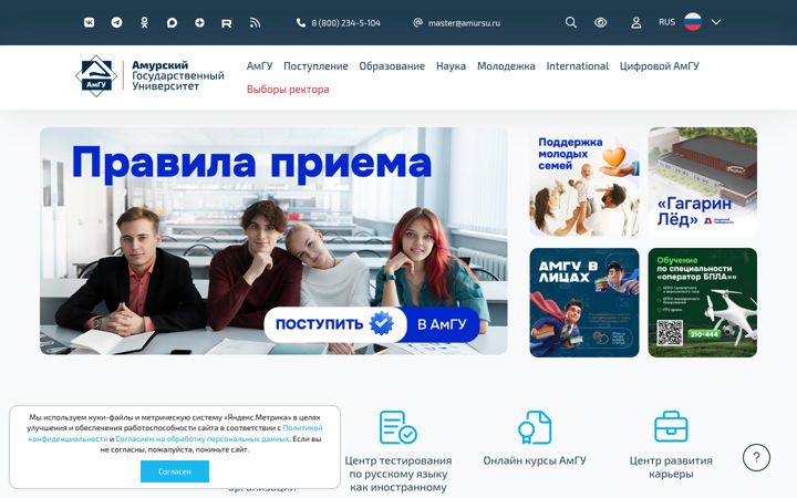 Screenshot of amursu.ru