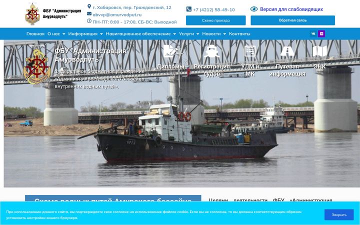 Screenshot of amurvp.ru