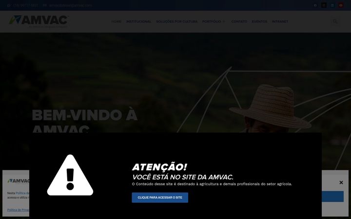 Screenshot του amvac.com.br
