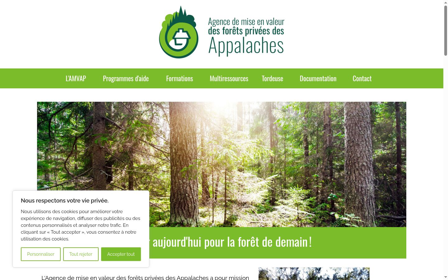 Screenshot of the consent banner shown before any interaction