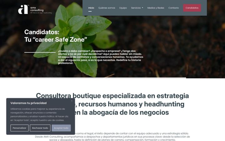 Екранна снимка на amxconsulting.es