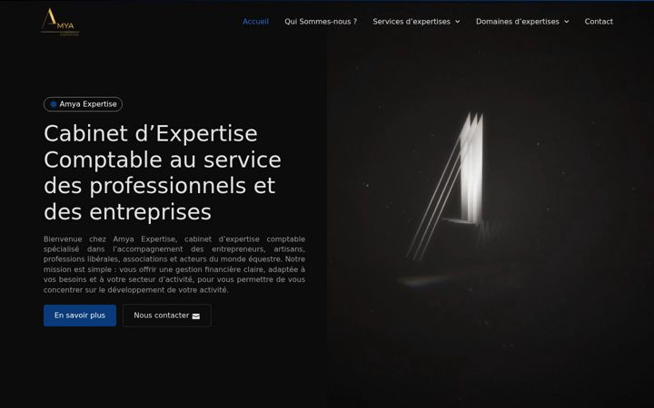 Screenshot of amya-expertise.fr