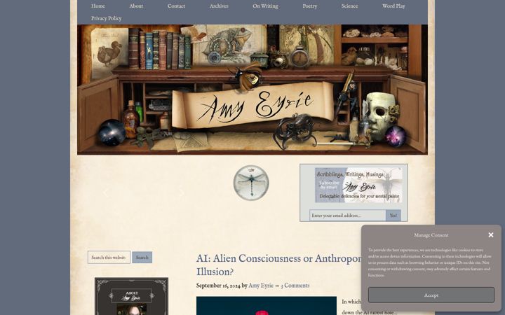 Screenshot of amyeyrie.net