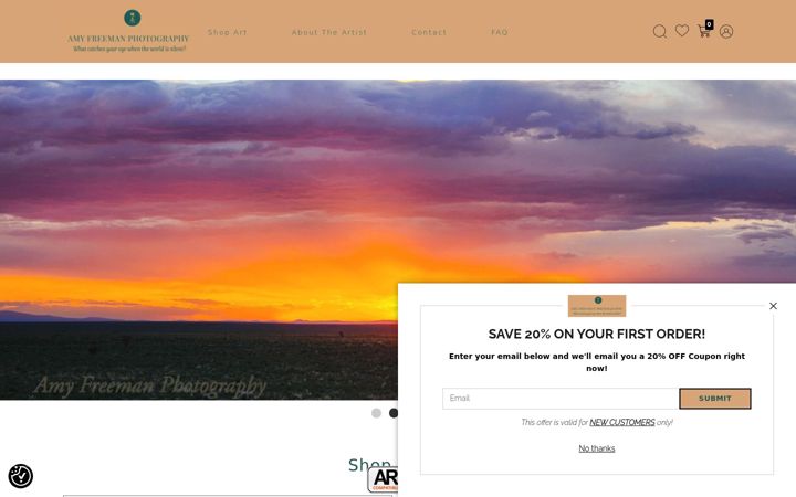 Screenshot of amyfreemanphotography.com