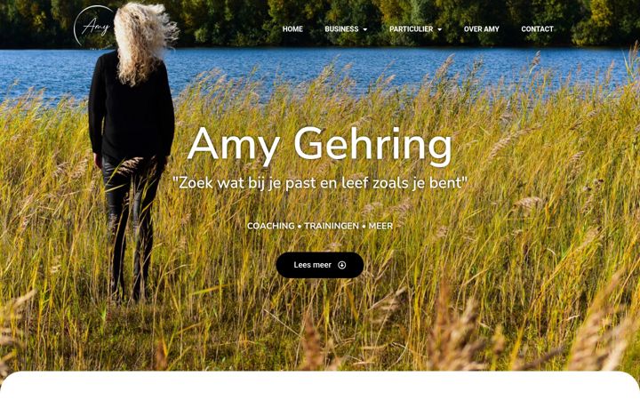 Zrzut ekranu amygehring.nl