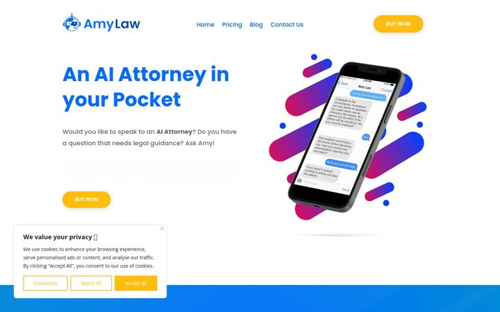 Screenshot of amylaw.co.za