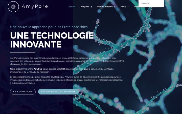 Screenshot of amypore.com