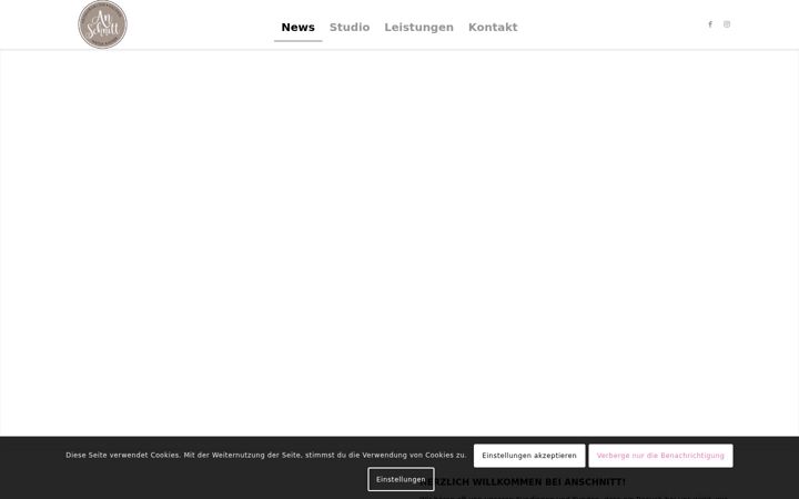 Screenshot of an-schnitt.at