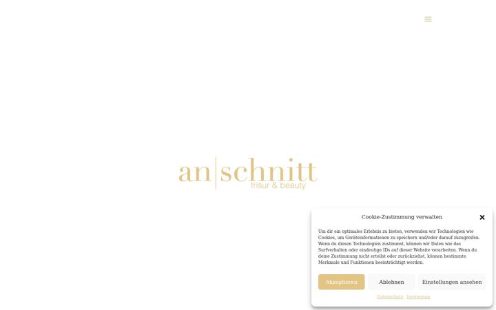 Screenshot of an-schnitt.de