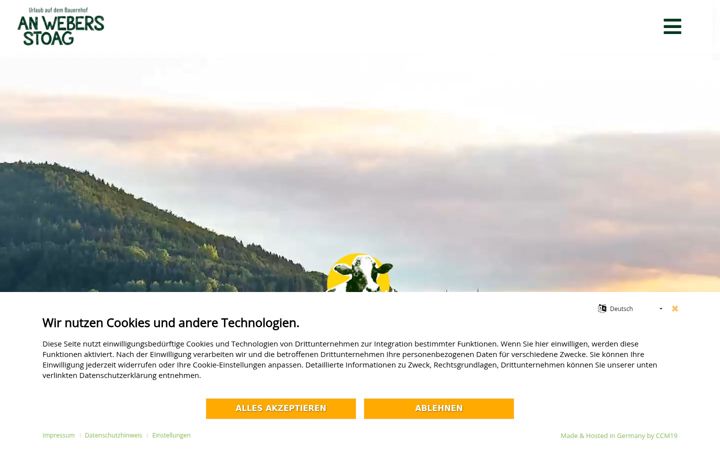 Screenshot of an-webers-stoag.de