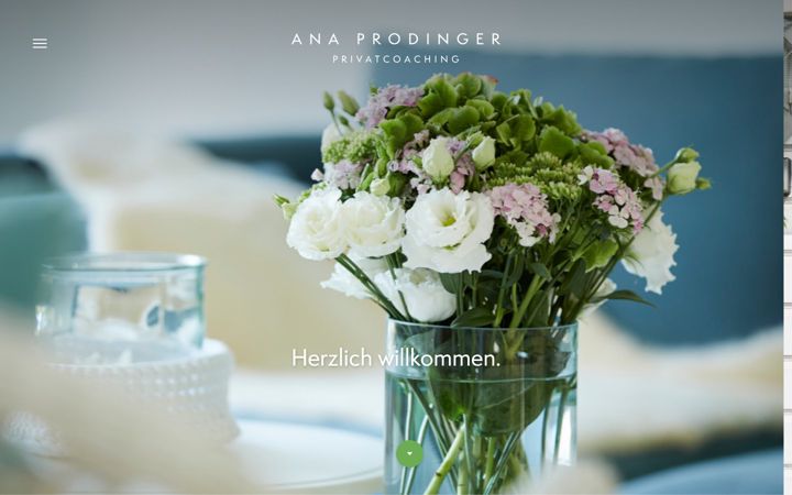 Screenshot of ana-prodinger.de