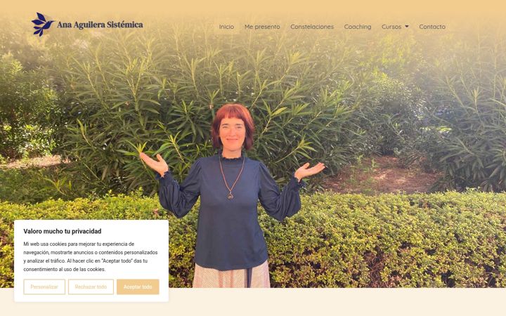 Screenshot of anaaguilerasistemica.com