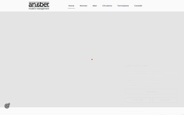 Screenshot of anaber.it