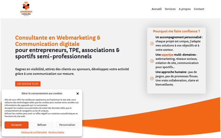 Screenshot of anaberam-consulting.com