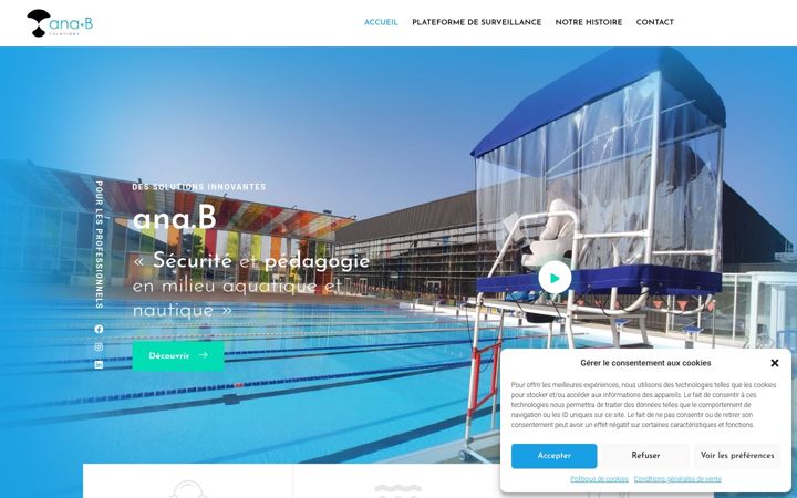 Screenshot of anabsolutions.com