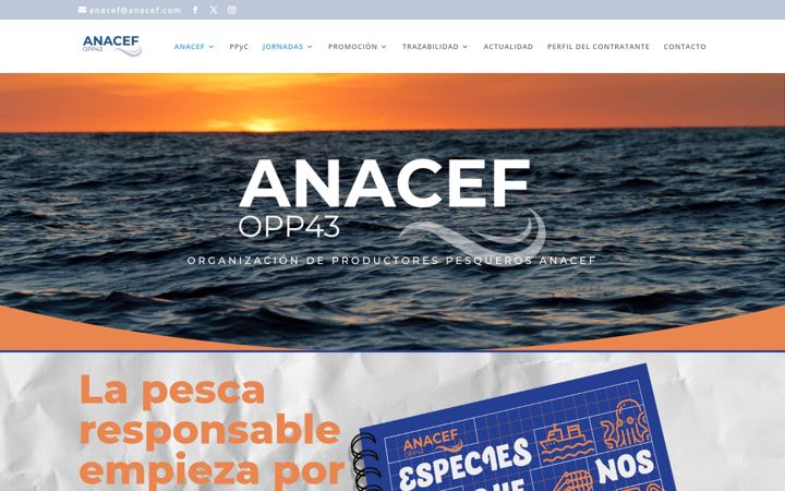 Screenshot of anacef.com