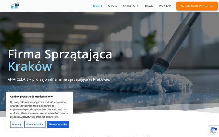 Screenshot of anaclean.pl