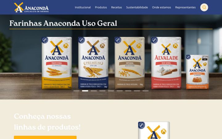 Screenshot of anaconda.com.br