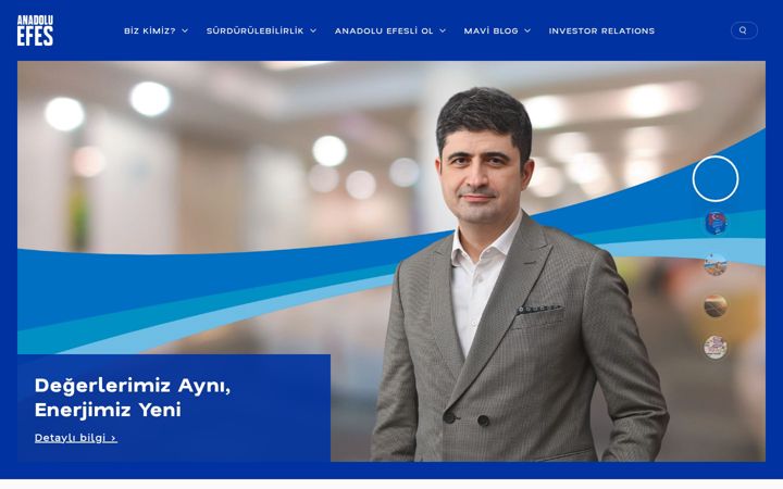 Screenshot of anadoluefes.com.tr