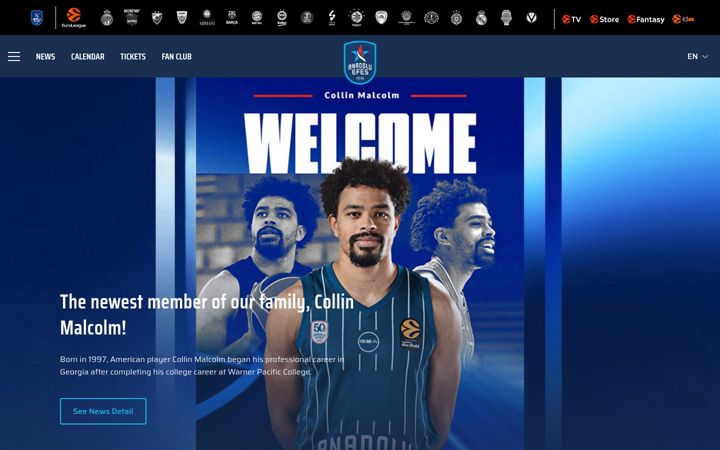 Screenshot of anadoluefessk.org