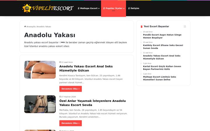 Screenshot of anadoluyakasiescort.com.tr