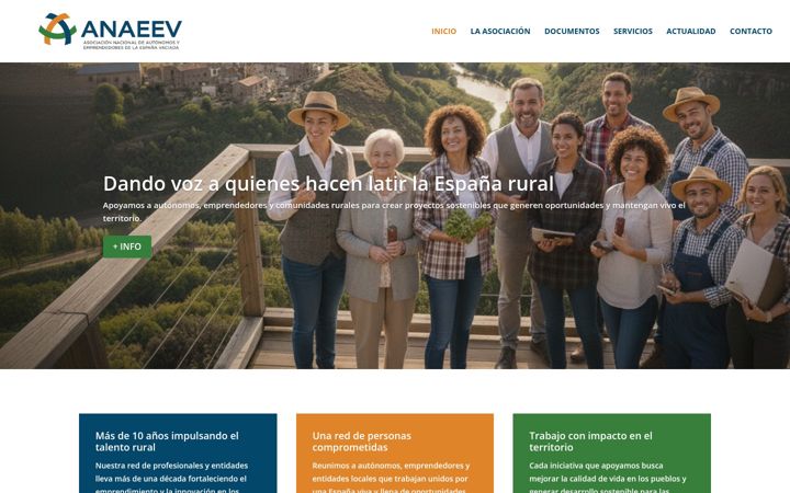 Screenshot of anaeev.org