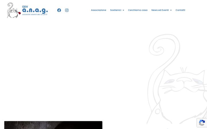 Screenshot ta' anag-novara.it