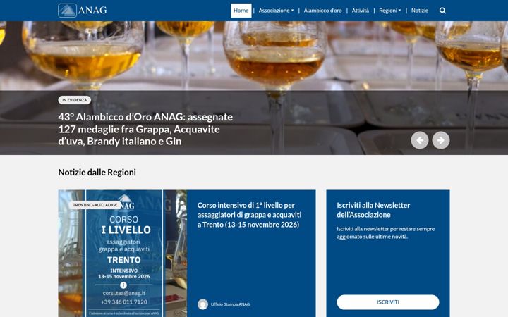 Screenshot of anag.it
