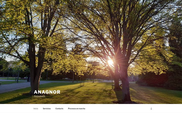 Screenshot of anagnorconsultores.es