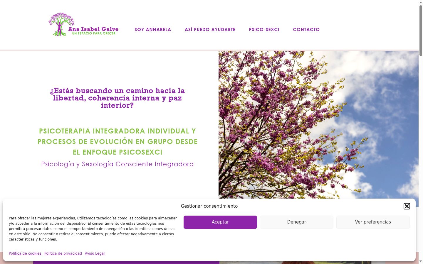 Snímka obrazovky banera súhlasu zobrazeného pred akoukoľvek interakciou