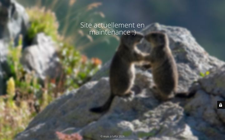 Screenshot di anaisalaffut.fr
