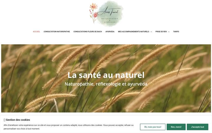 Skjámynd af anaistouret-naturopathe.fr