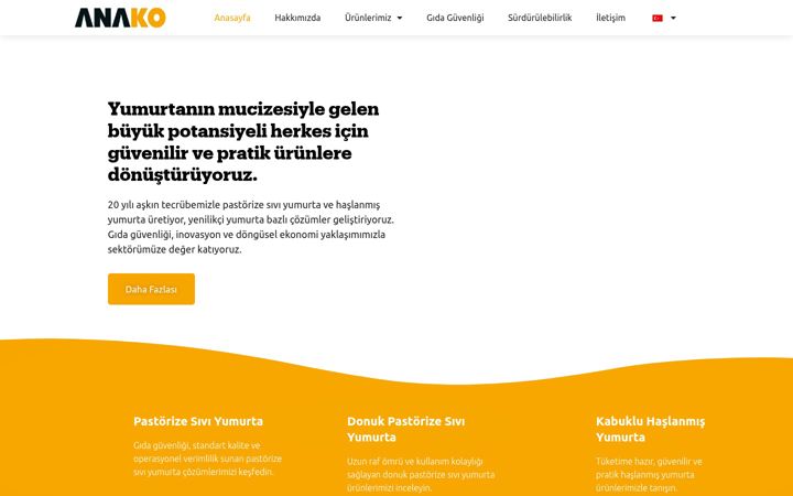 Screenshot of anako.com.tr